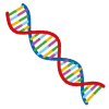 DNA